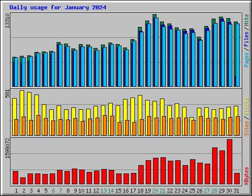 Daily usage for January 2024