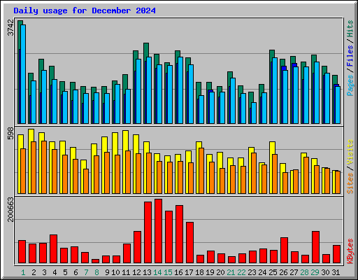 Daily usage for December 2024