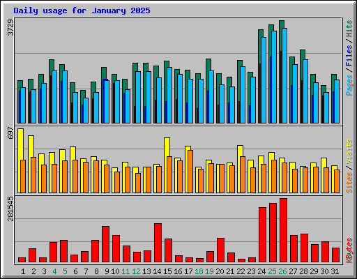 Daily usage for January 2025