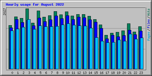 Hourly usage for August 2022