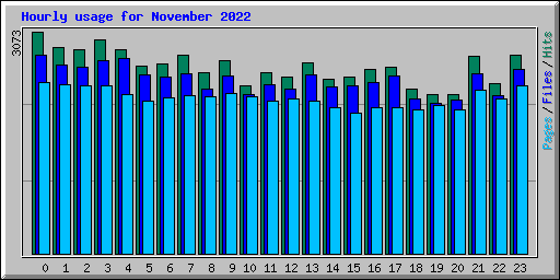 Hourly usage for November 2022