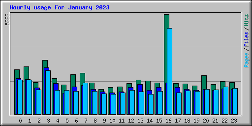 Hourly usage for January 2023