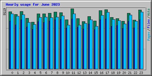 Hourly usage for June 2023