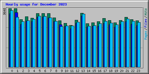 Hourly usage for December 2023