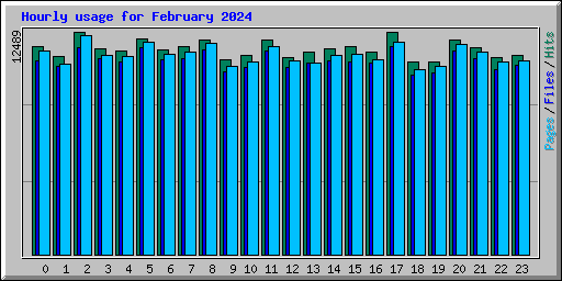 Hourly usage for February 2024