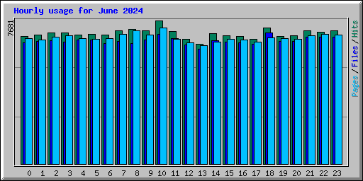 Hourly usage for June 2024