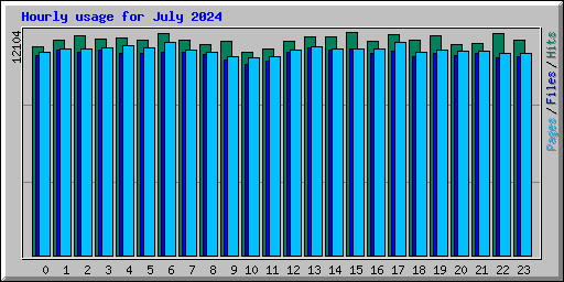 Hourly usage for July 2024