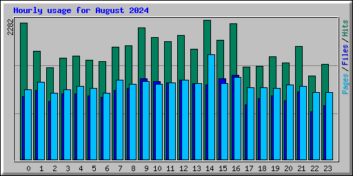 Hourly usage for August 2024