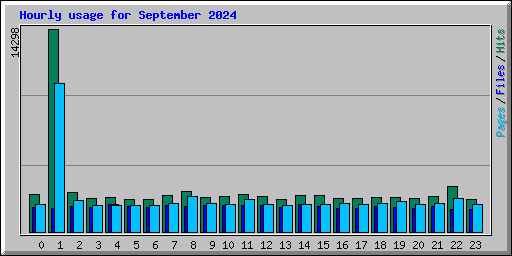 Hourly usage for September 2024