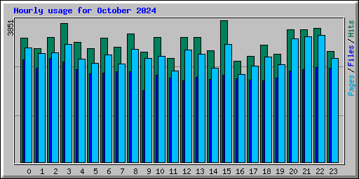 Hourly usage for October 2024