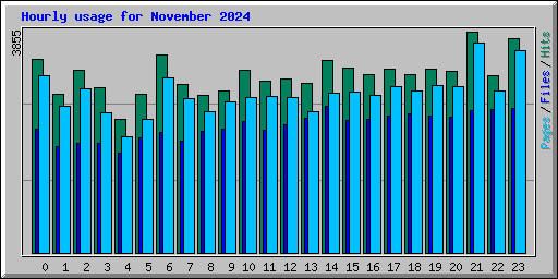 Hourly usage for November 2024