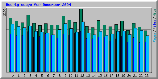 Hourly usage for December 2024