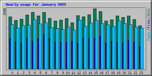 Hourly usage for January 2025