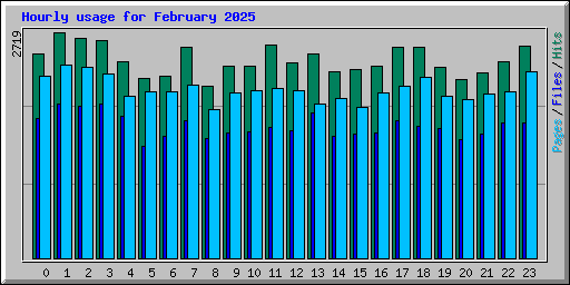 Hourly usage for February 2025