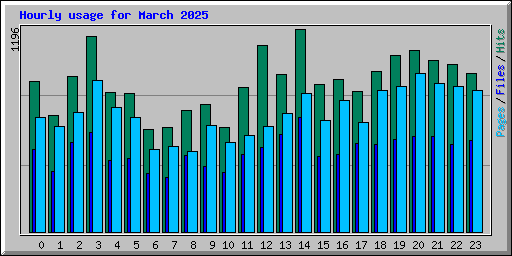 Hourly usage for March 2025