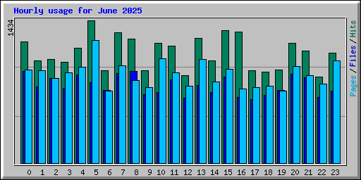 Hourly usage for June 2025
