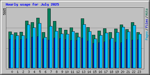 Hourly usage for July 2025