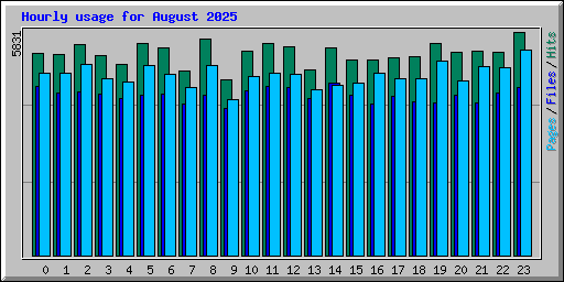 Hourly usage for August 2025