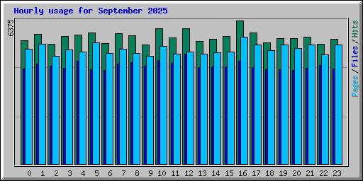 Hourly usage for September 2025