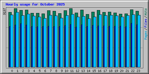 Hourly usage for October 2025