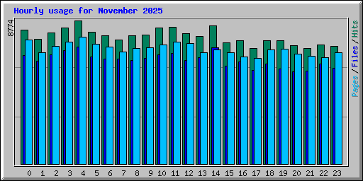 Hourly usage for November 2025