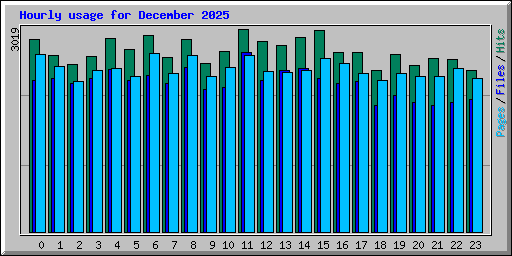 Hourly usage for December 2025