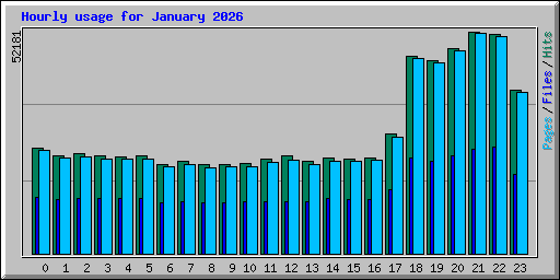 Hourly usage for January 2026